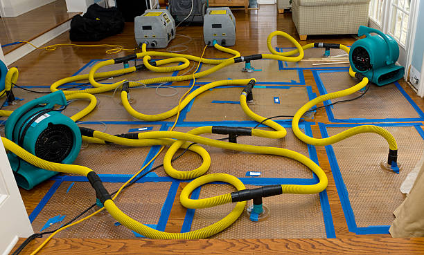 Professional Basement Flood Cleanup technician working in Five Points, NC